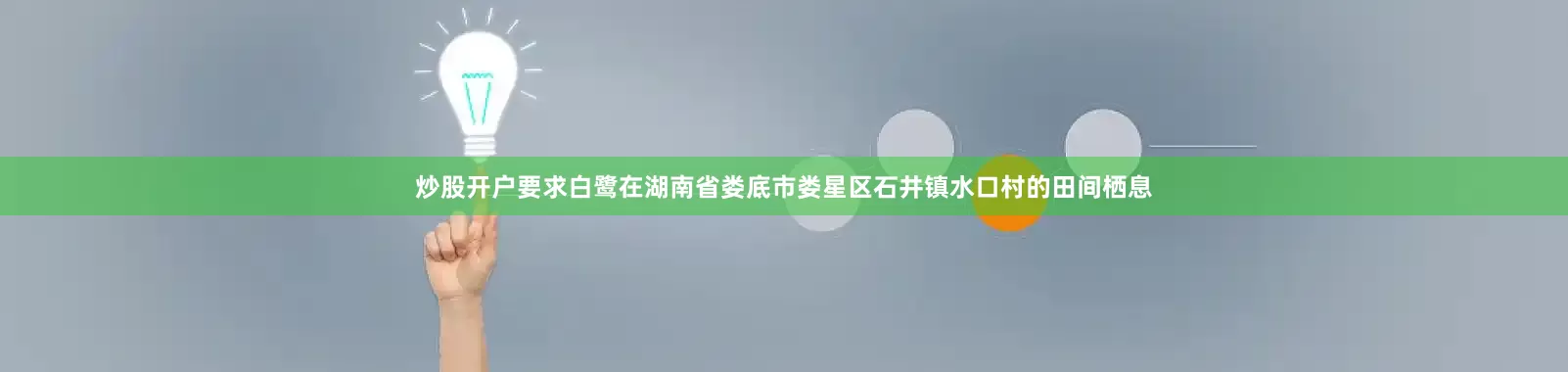 炒股开户要求白鹭在湖南省娄底市娄星区石井镇水口村的田间栖息