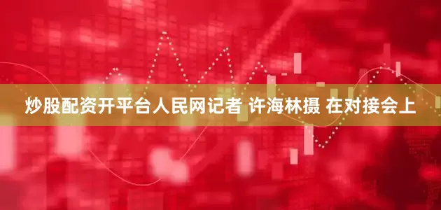 炒股配资开平台人民网记者 许海林摄 在对接会上