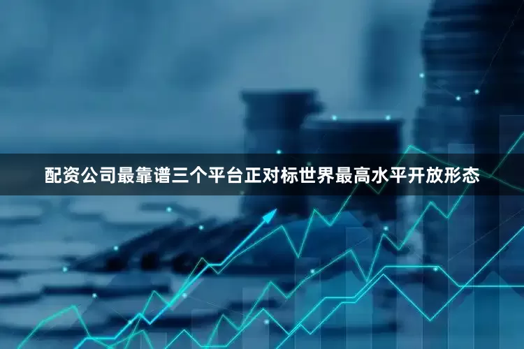配资公司最靠谱三个平台正对标世界最高水平开放形态