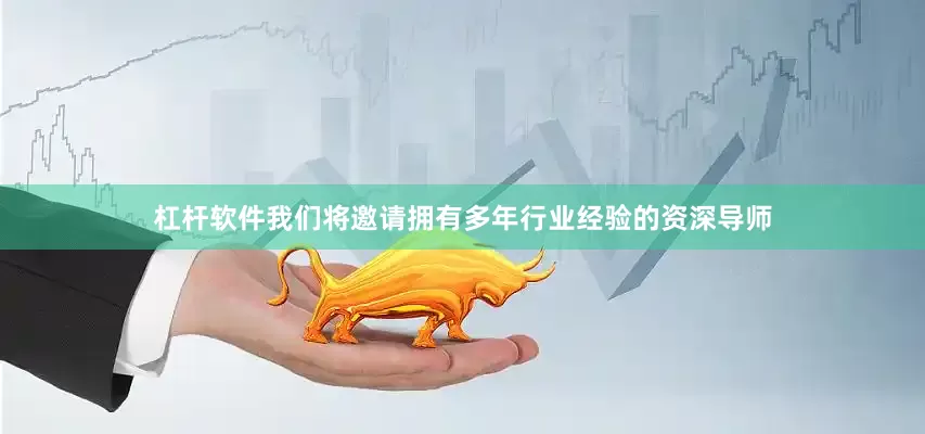 杠杆软件我们将邀请拥有多年行业经验的资深导师