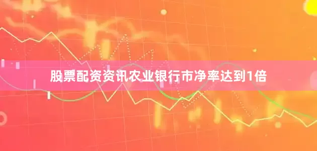 股票配资资讯农业银行市净率达到1倍