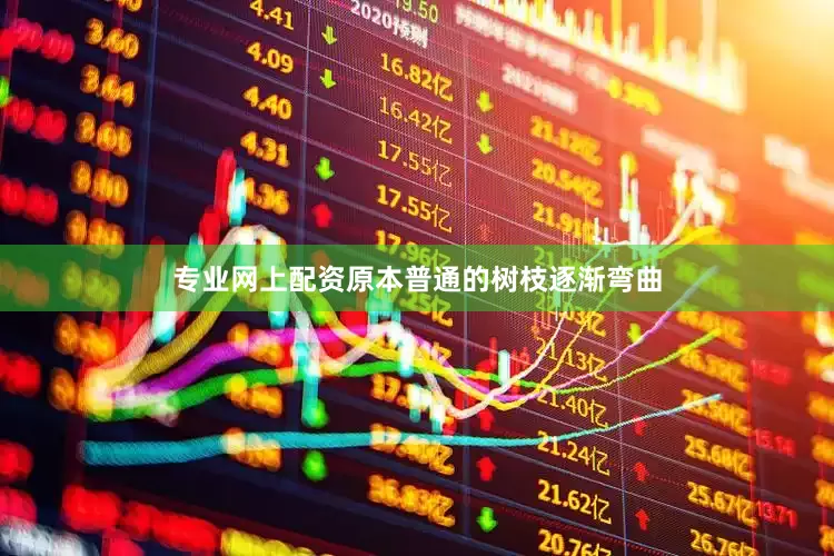 专业网上配资原本普通的树枝逐渐弯曲