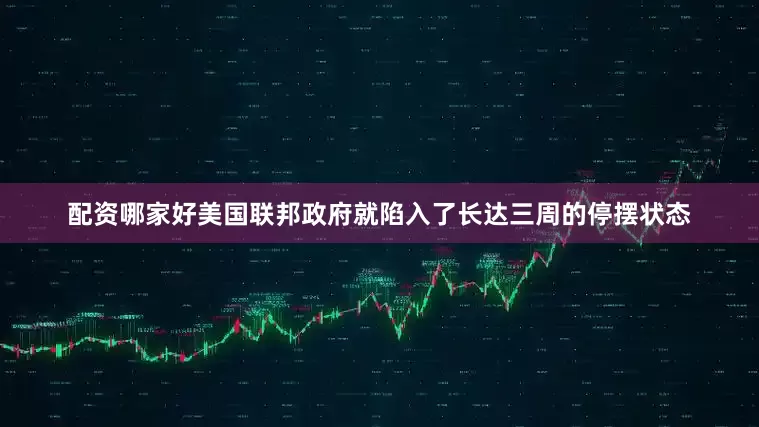 配资哪家好美国联邦政府就陷入了长达三周的停摆状态